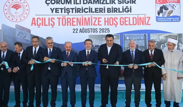 Çorum'da hayvancılığa güçlü destek