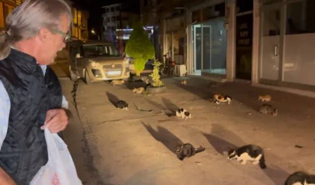Düzce'de kendini kedilere adadı!