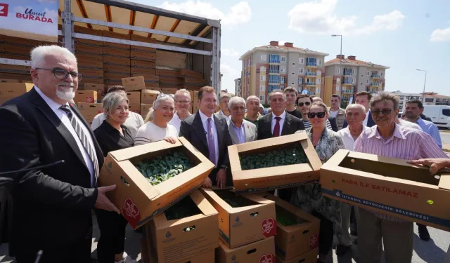 İstanbul'dan çiftçilere 5 yılda 70 milyon fide desteği