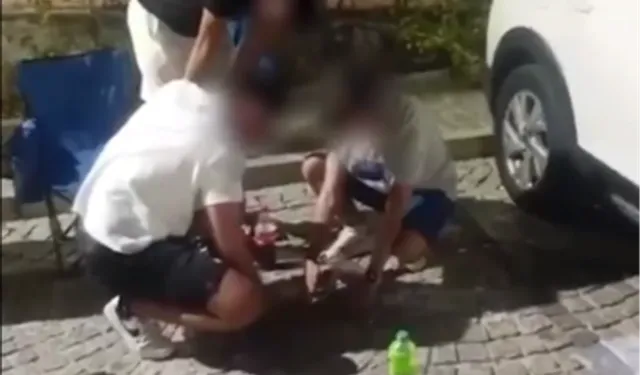 Mudanya Zabıtası çevreyi kirleten gençlere çöp toplattı, ceza kesti!