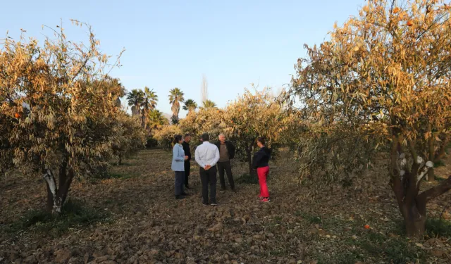 Muğla'da tarımın geleceği alarm veriyor... MUPA'dan sürdürülebilirlik raporu