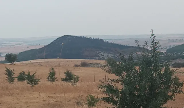 Keşan Sivritepe’ye fidan dikimi müjdesi... 11 Kasım’da yeşillenecek