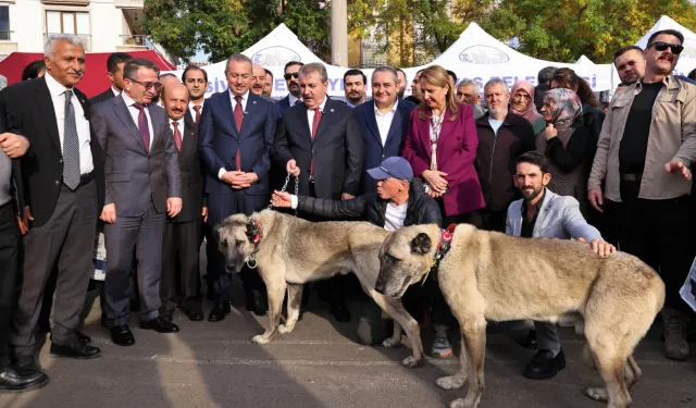 Ankara Keçiören'de 'Sivas Günleri' coşkusu