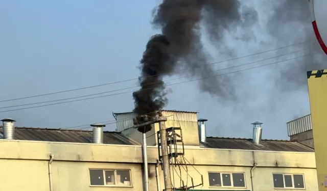 Bursa İnegöl'de sobada uygunsuz madde yakılmasına ağır ceza