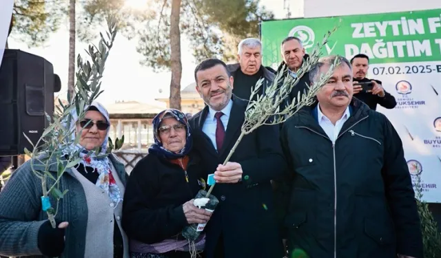 Denizli'de üreticiye 100 bin zeytin fidanı desteği