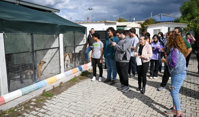 İzmir Bornova'da can dostlar için el ele