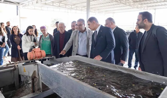 İzmir'de sezonun ilk zeytinyağı Başkan Tugay'dan