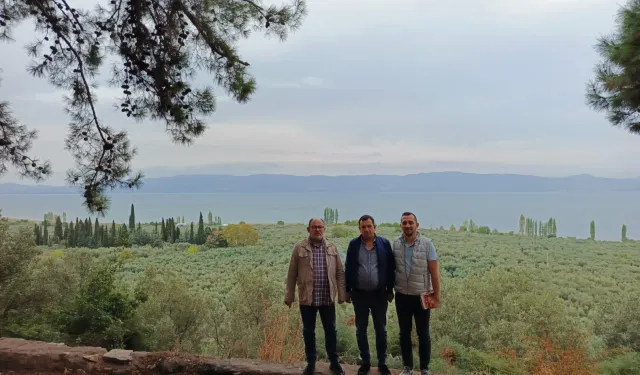 Marmarabirlik'ten 'anıt zeytin ağaçları'na özel marka vizyonu
