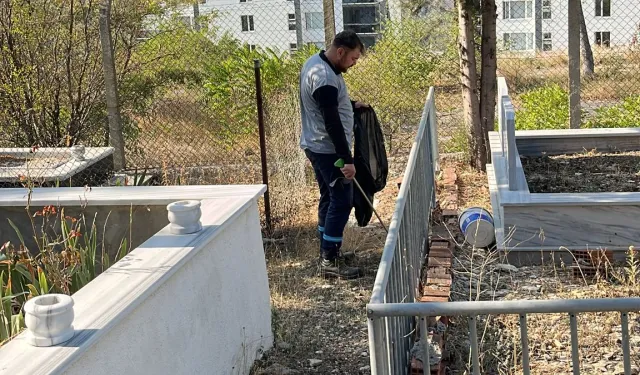 Mezarlıklar, Büyükşehir'le pırıl pırıl