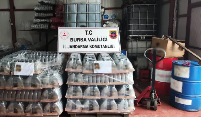 Mudanya'da Jandarma'dan kaçak motor yağı operasyonu