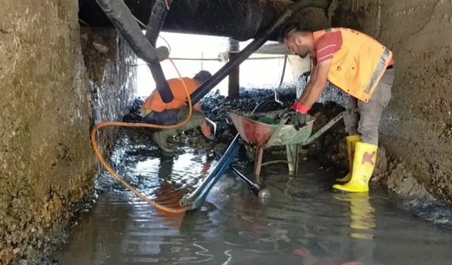 Ordu Fatsa'da tarihi temizlik seferberliği