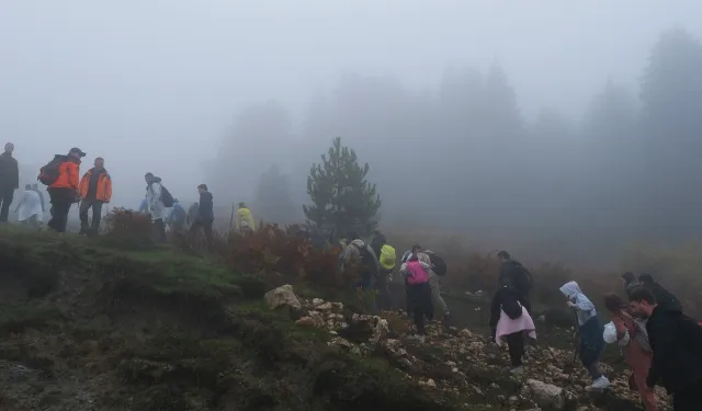 Sakarya'da sisler içindeki Kılıçkaya'da büyüleyici gün