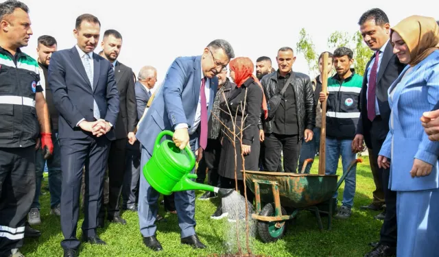 Trabzon'da 37 bin fidan toprakla buluştu
