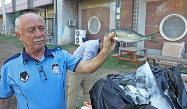 Antalya Büyükşehir zabıtasından otogarda usulsüz taşımacılığa operasyon