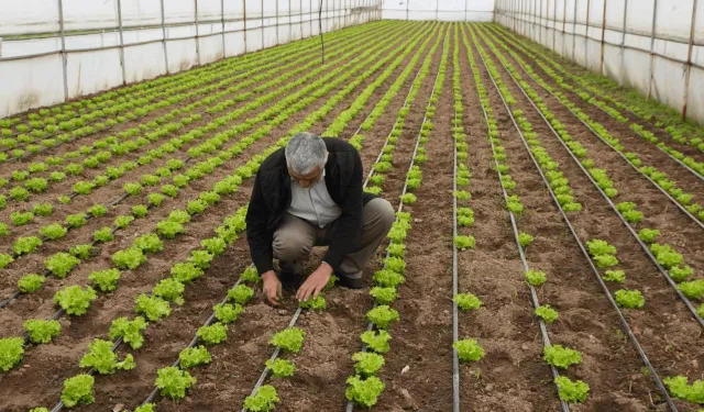 Balıkesir'de 'Tarım Modeli' ile çiftçiye destek