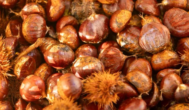 Başkan Tugay Beydağ'da kestane üreticileriyle buluştu