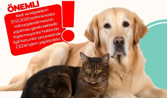 Bursa İnegöl'de evde kedi-köpek besleyenlere mikroçip uyarısı