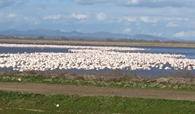 CHP'li Yazgan'dan TBMM'de Gala Gölü çağrısı!