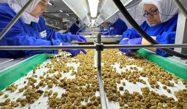 Çin'de organik sektörü 15 milyar dolarlık hacme ulaştı