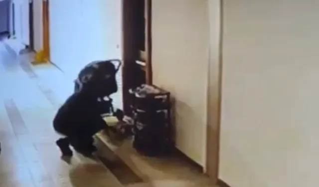 Kuryenin ayakkabı hırsızlığı kameraya yansıdı