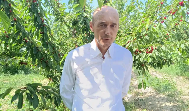 Enez'de kiraz bahçelerine RES köylüleri ayağa kaldırdı