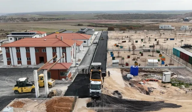 Eskişehir'de hayvan barınağında sona yaklaşılıyor