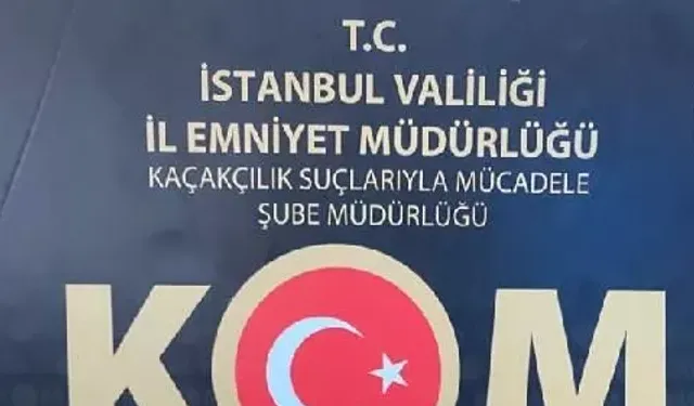 İstanbul'da tarihi eser kaçakçılığı operasyonu! 7 gözaltı