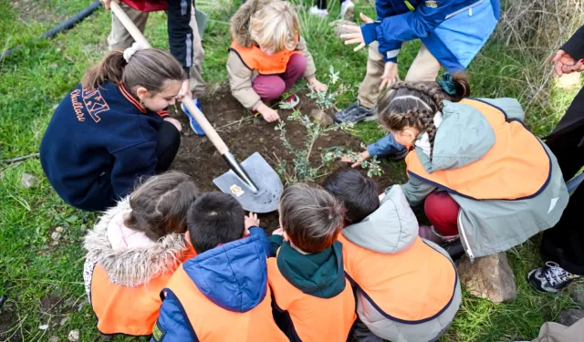 İzmir Bornova'da 200 zeytin fidanı toprakla buluştu