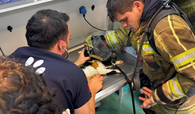 İzmir'de itfaiyeden can dostlara kahramanca müdahale