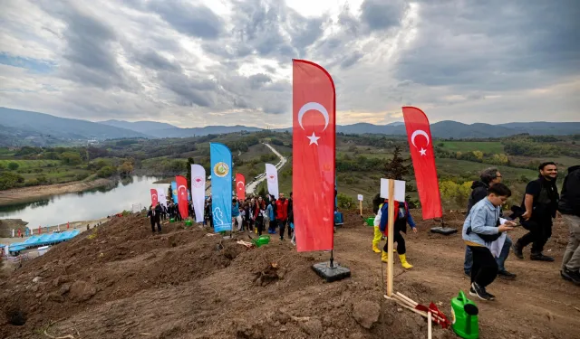 Karamürsel'de yanan bölge 3 bin fidanla yeşerecek