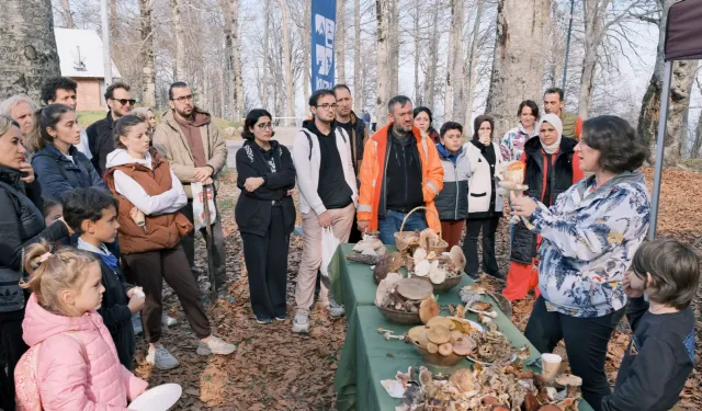 Kocaeli Kuzuyayla'da mantarların gizemli dünyası keşfedildi