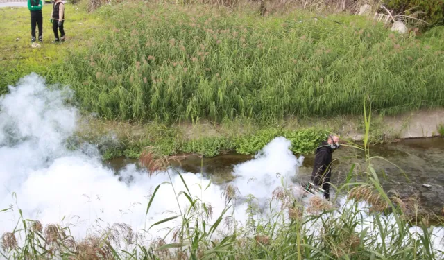 Kocaeli'de sinekle mücadele dört mevsim hız kesmiyor