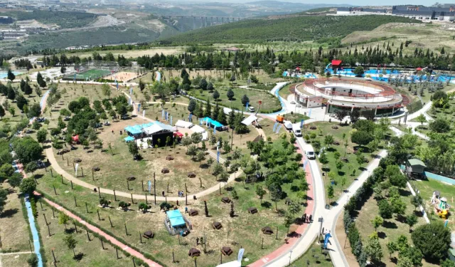 Kocaeli'nin dört bir yanı yeşile bürünüyor