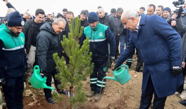 Malatya Beydağı'nda 10 bin 444 fidan toprakla buluştu