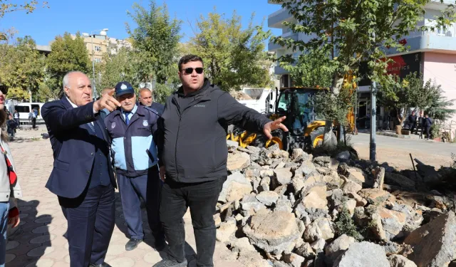 Mardin Yeşilli'de büyük dönüşüm... 50 bin ağaçlık yeşil hamle