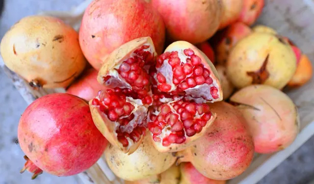 Mersin'de üreticilere nar taneleme ve sıkma makinesi desteği