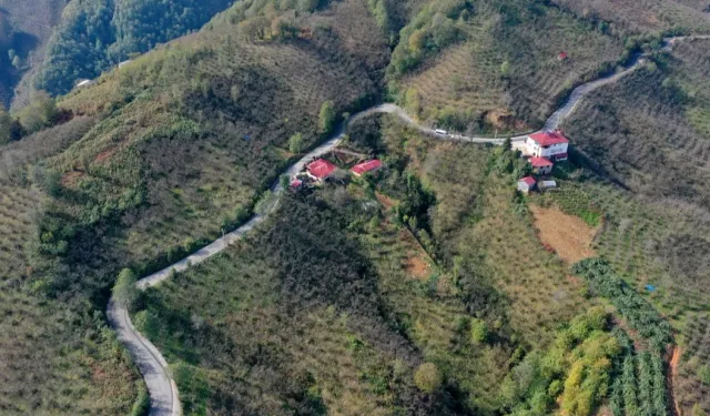 Ordu Tepeköy'de asfalt sevinci