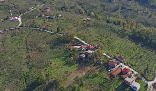 Ordu Ünye'de yol konforu artıyor