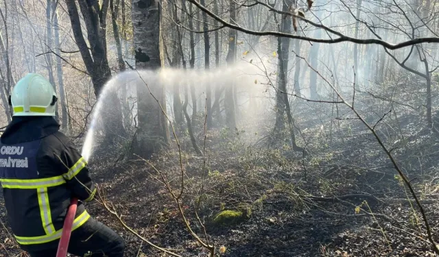 Ordu'da bir haftada 40 yangın alarmı