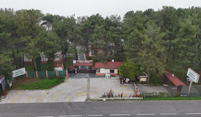 Ordu'da doğayla iç içe tatil alanı yenileniyor