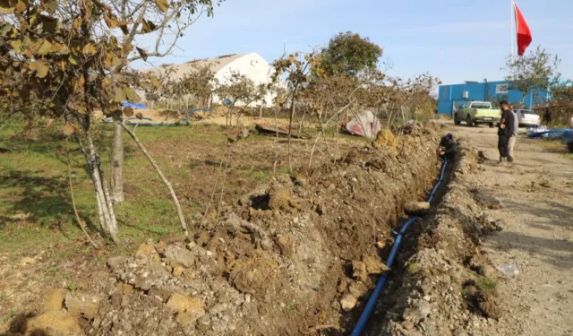 Ordu'da fındıkta verim için damlama sulama dönemi