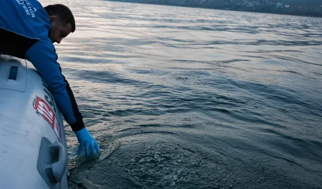 Sapanca Gölü'ndeki su kabarcıkları endişelendirdi! Herhangi bir olumsuzluk yok!