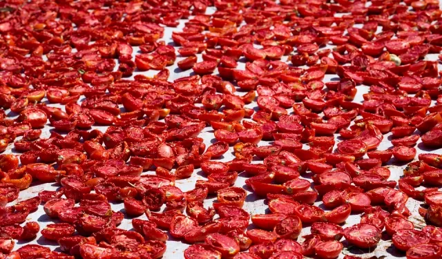 Şifa deposu kuru domates ihracatta dünya ikincisi