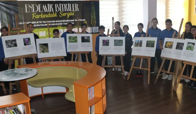 Yalova'da 29 endemik bitki geleceğe aktarılıyor