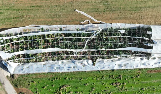 Antalya Büyükşehir'den hortum felaketinde çiftçiye destek