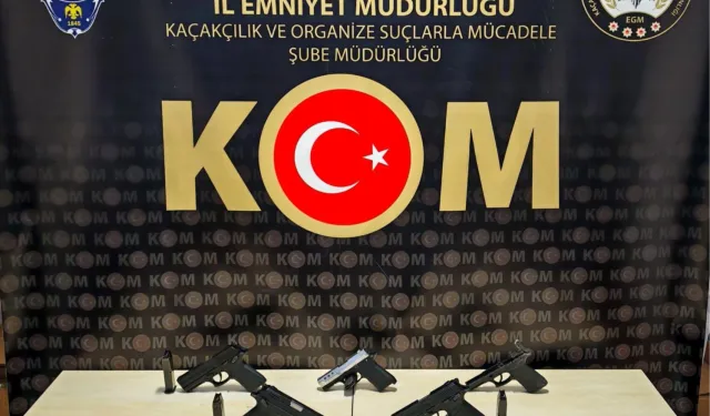 Bilecik'te kaçak silah operasyonu