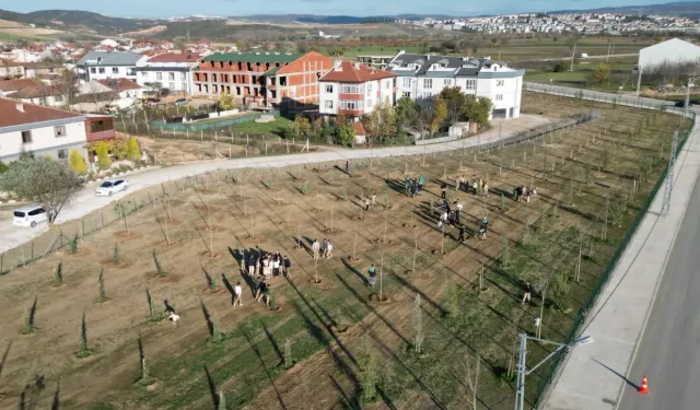 Bursa İnegöl'de 572 fidanlı koruluk Akhisar'a nefes oldu