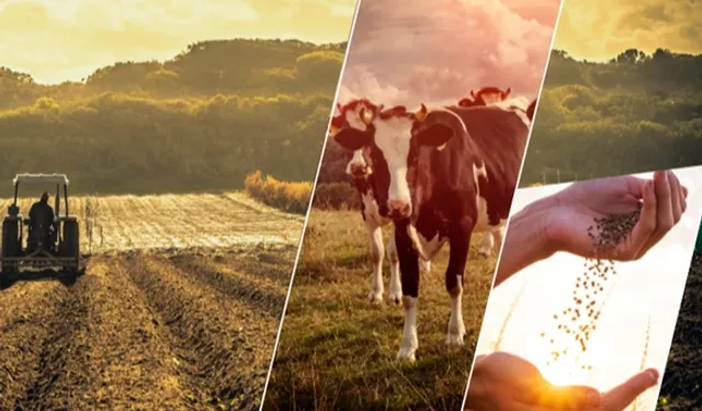 Çiftçiye 1,1 milyar TL'lik destek ödemesi başladı