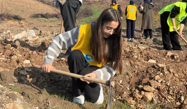 Gürsu'da yanan ormanlar yeniden yeşeriyor... 15 bin fidan toprakla buluştu