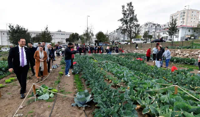 İzmir Bornova'da kent bostanlarında hasat coşkusu